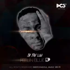 Di-Jay Luu - The Gift (Original Mix)